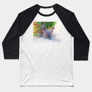 Blue Cat on the Sunny Stairs Baseball T-Shirt